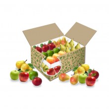 Große Buerobox ApfelBirne